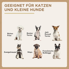 Edelstahl Futternapf Set 2 Näpfe Grau 78x48x49,5 cm