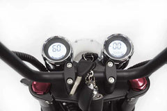 Mangosteen M1P Elektro-Chopper in Mattgrün – 2000W Bürstenloser Motor, 60 km/h Hchstgeschwindigkeit